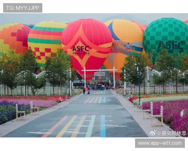 浙江绍兴诸葛仙山徒步赛、金华武义热气球公开赛展现地域特色