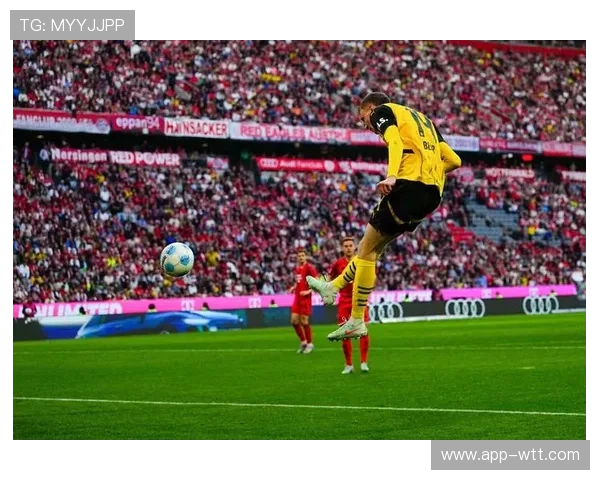 拜仁1-1客平斯图加特,凯恩进球难救主 拜仁1-1客平斯图加特,凯恩进球难救主